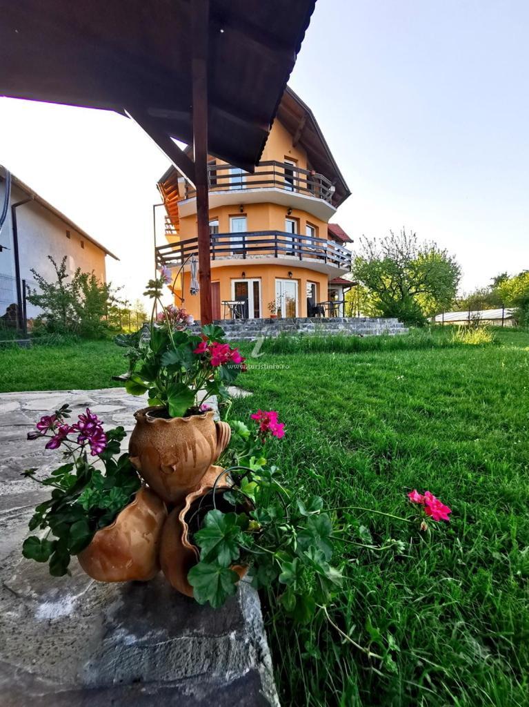 Casa Tamara Hotel Törcsvár Kültér fotó